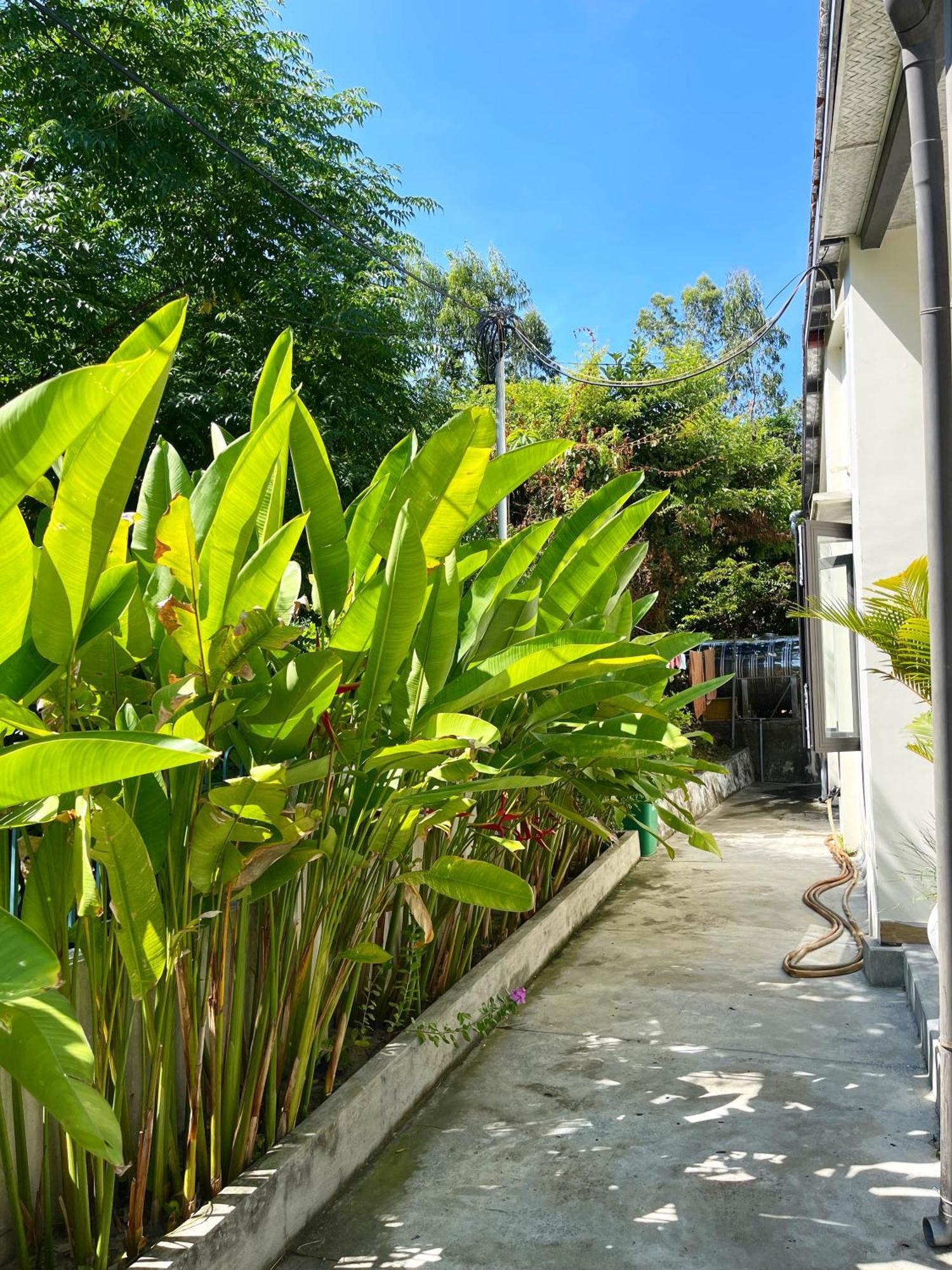 Crest House Beachside - Three-Bedroom Private House On Cham Island Hoi An Tân Hiệ Екстериор снимка